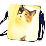 photo-bag-cat